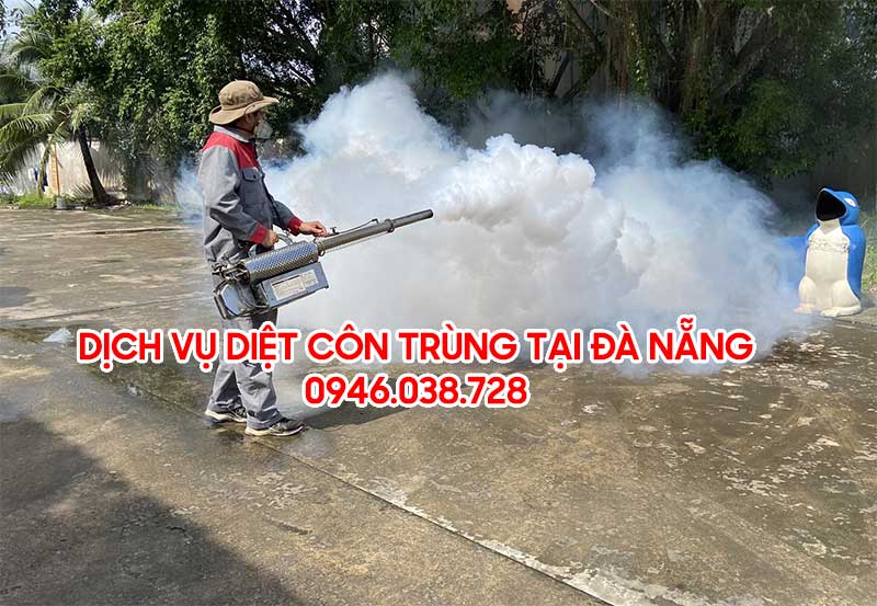 Dịch vụ diệt côn trùng tại Đà Nẵng chuyên nghiệp